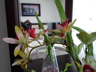 Апартаменты Apartments FourRoses Улцинь Номер-студио-2