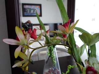 Апартаменты Apartments FourRoses Улцинь Номер-студио-9