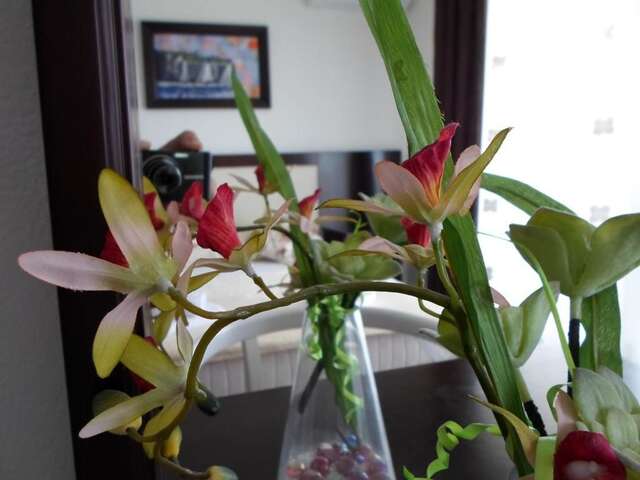 Апартаменты Apartments FourRoses Улцинь-49